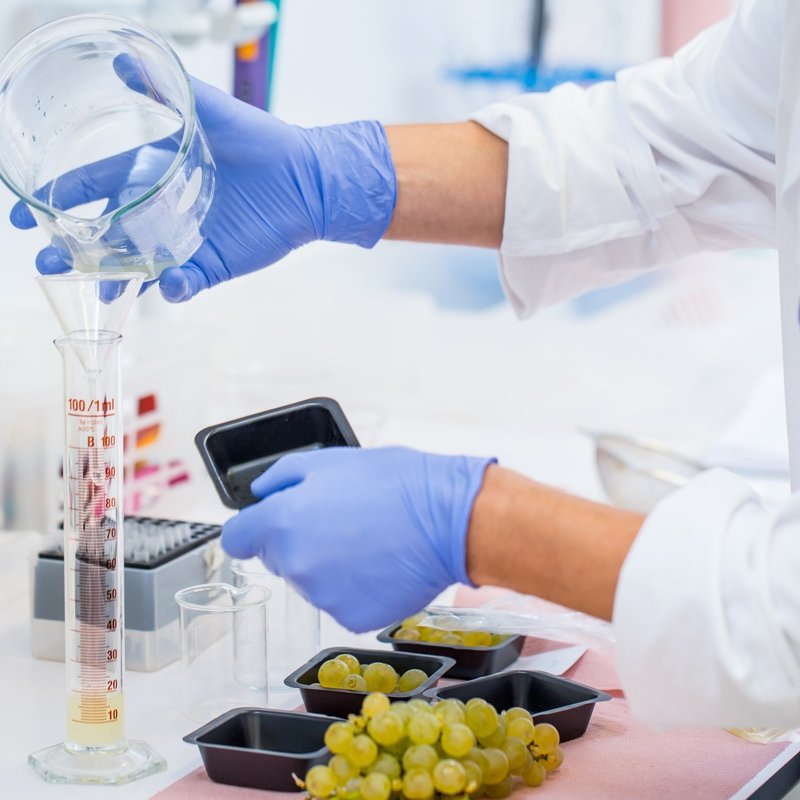 Lab
