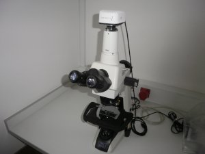 2_optical_microscope