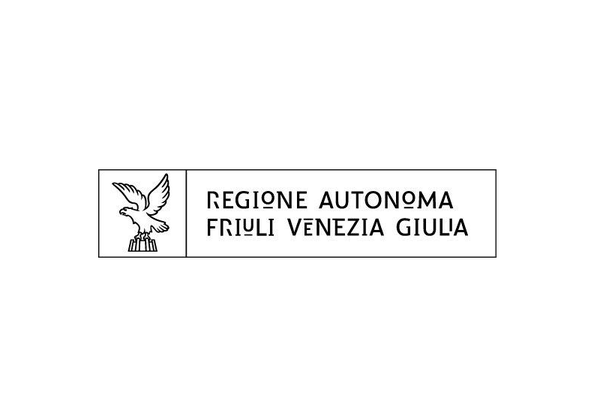 FVG_logo_na_podlagi