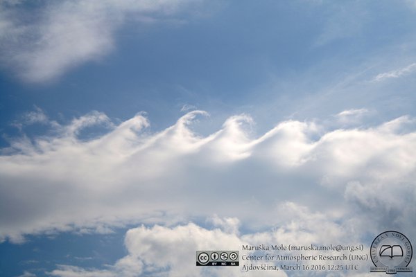 IMG_2407-watermark-BY_NC_SA_web