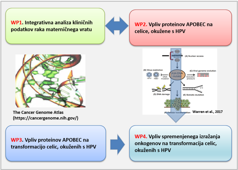 Posnetek_zaslona_2021-07-22_141934